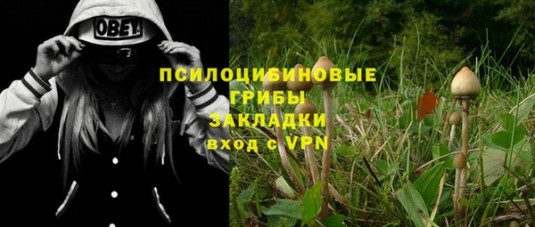 мет Арсеньев