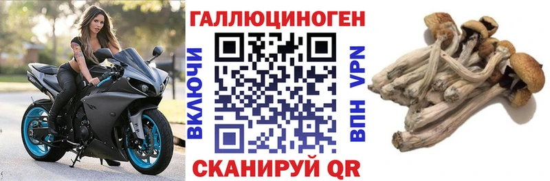 ОМГ ОМГ зеркало  Новохопёрск  Галлюциногенные грибы мухоморы  магазин продажи наркотиков 